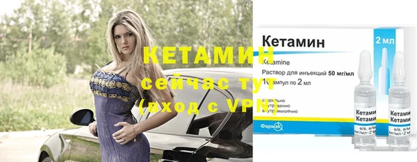 сатива Дмитриев