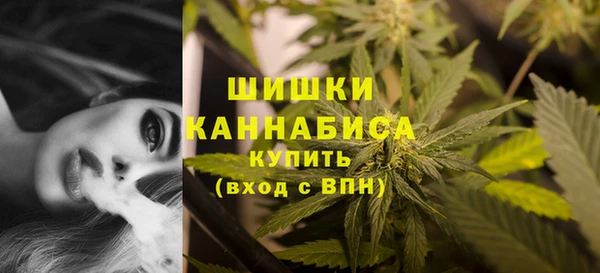 сатива Дмитриев