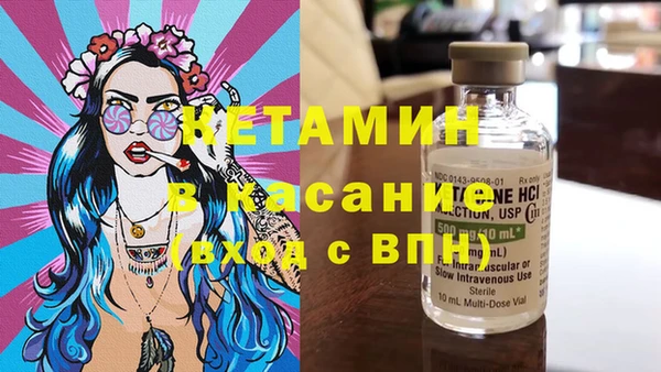 сатива Дмитриев
