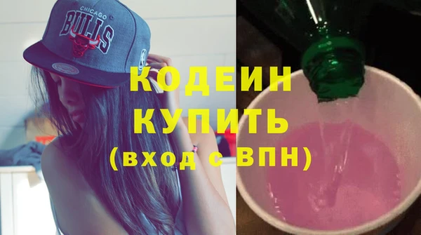 сатива Дмитриев