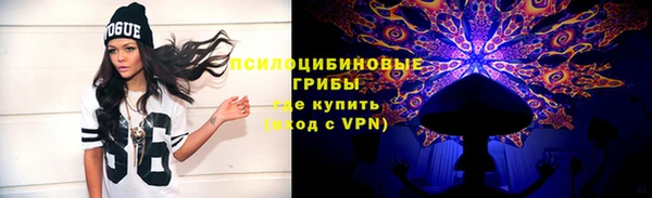 ПСИЛОЦИБИНОВЫЕ ГРИБЫ Дмитровск