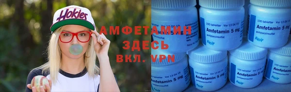 сатива Дмитриев