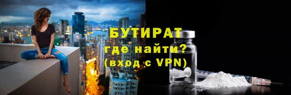 сатива Дмитриев