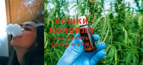 ПСИЛОЦИБИНОВЫЕ ГРИБЫ Дмитровск