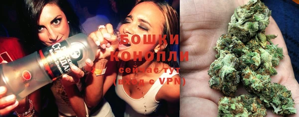 ПСИЛОЦИБИНОВЫЕ ГРИБЫ Дмитровск