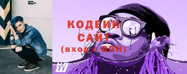 сатива Дмитриев